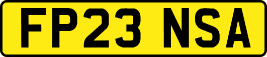 FP23NSA