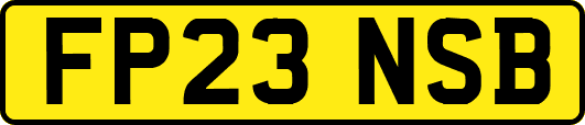 FP23NSB