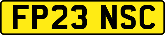 FP23NSC