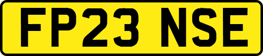 FP23NSE