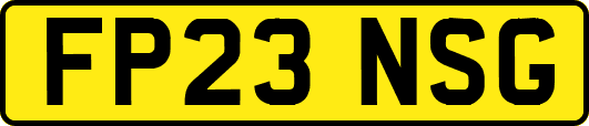 FP23NSG