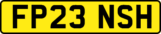 FP23NSH