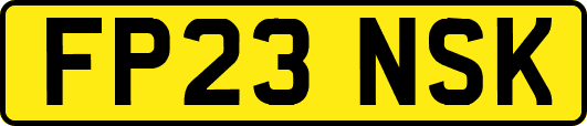 FP23NSK