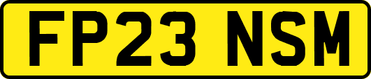 FP23NSM