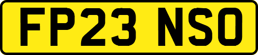 FP23NSO