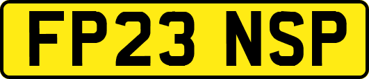 FP23NSP