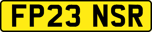 FP23NSR