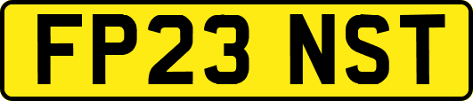FP23NST
