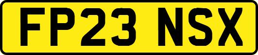 FP23NSX