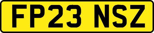 FP23NSZ
