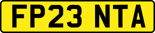 FP23NTA