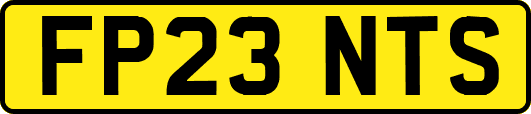 FP23NTS