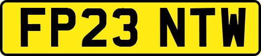FP23NTW