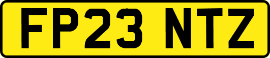 FP23NTZ