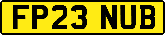 FP23NUB