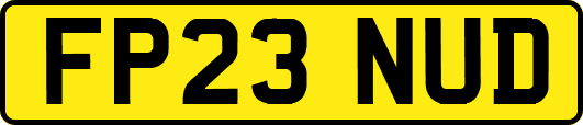 FP23NUD