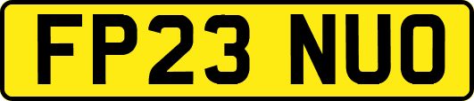 FP23NUO