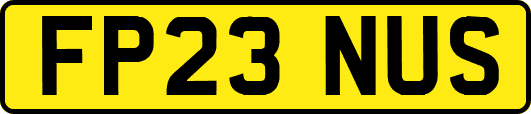 FP23NUS