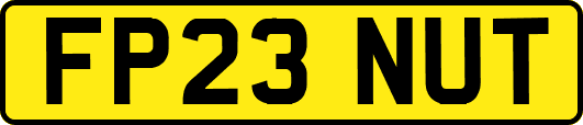 FP23NUT