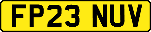 FP23NUV