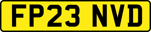 FP23NVD