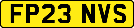 FP23NVS