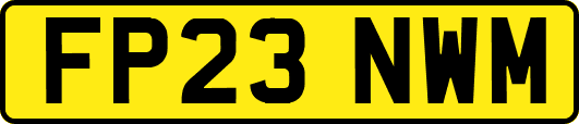 FP23NWM