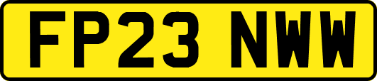 FP23NWW