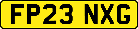 FP23NXG