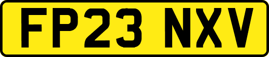 FP23NXV