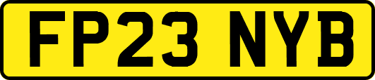 FP23NYB