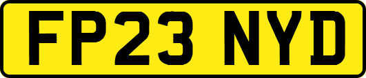 FP23NYD