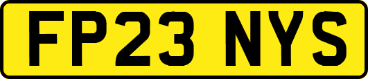 FP23NYS