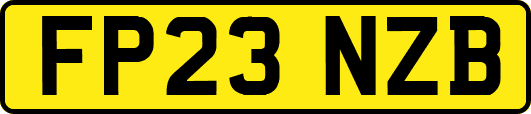 FP23NZB