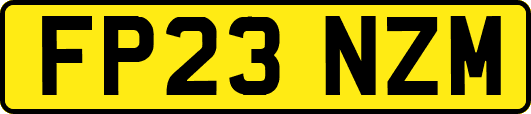 FP23NZM