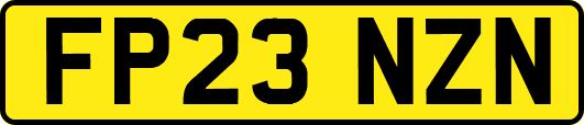 FP23NZN