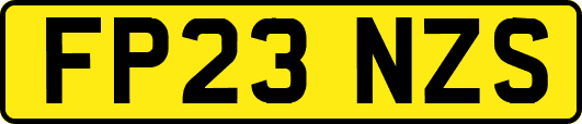 FP23NZS