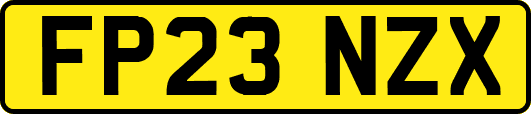 FP23NZX