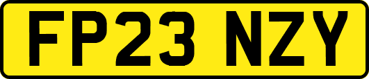FP23NZY