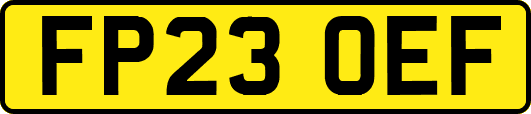 FP23OEF