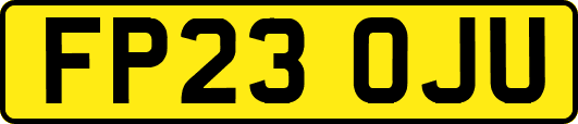 FP23OJU