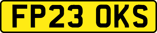 FP23OKS