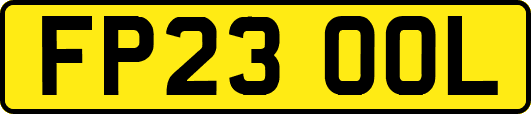 FP23OOL