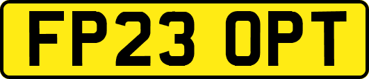 FP23OPT