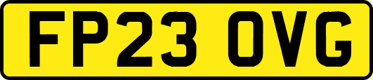 FP23OVG