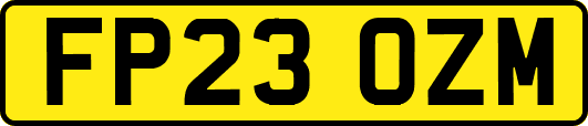 FP23OZM