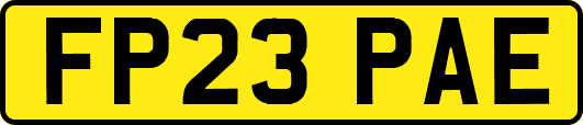 FP23PAE