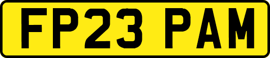 FP23PAM