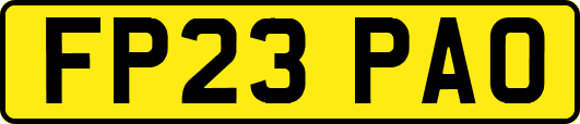 FP23PAO