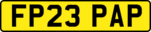 FP23PAP